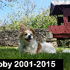 Toby .2001-2015
